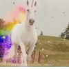 rainbowfartingunicorns