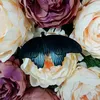 svetlana_929