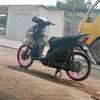 pubiii2223