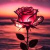 nakshathra1433