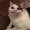 _m_y_r_o_s_e_