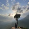 tami_xinxin