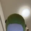 midorihamadamumei
