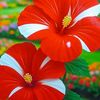 girma733