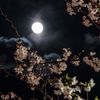 moon_2032