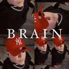 brainelcerebro