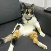 chillvort