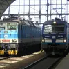 jenik_kus