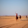 احمد الشمري🐎