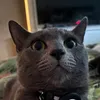 obladiobladax