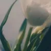 m_k112113