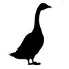 kingofgooseses