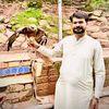 waderonasir786