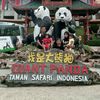 sariiamien