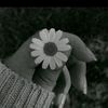 zekiye_yuksel1