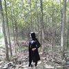 nanadevianaalya