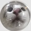 jsjsmdl6