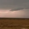 mshor_