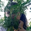 oliwkamaj5
