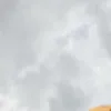 xxnnuuwb