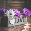 saraomar748