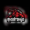 ensdrongoteam