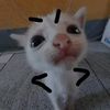 lilkukukuku