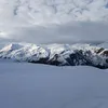 zj_07_16