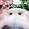 dontst0p