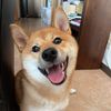 __pochi__20210814