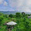 nguyenvanloi1332