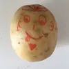 timthepotatonpumkin