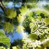 aburashid090