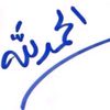 bandar883