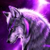 justwolf11