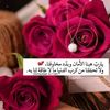pppp4134