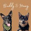 budddyandhoney