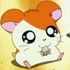 hamtaro.girl