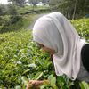 febri.aryani15