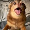 chuydiazchihuahua