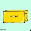 tridevi587
