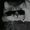 joeeylove