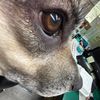 haleyrose227