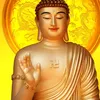 user044j2wp360