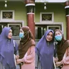 nzfa1