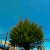 nggakknl0
