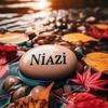 niyazaliniyazisaltoro5