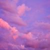 icedrosewater