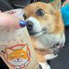 rwbybeanz
