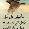 abuameer262